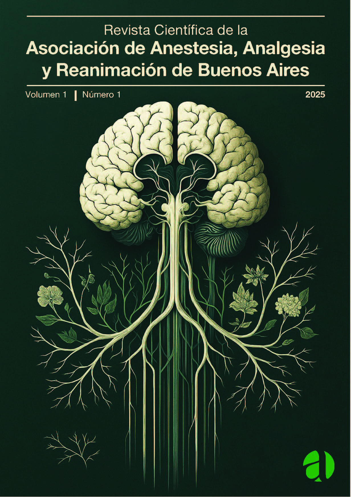 					Ver Vol. 1 Núm. 1 (2025): Revista Científica de la Asociación de Anestesia, Analgesia y Reanimación de Buenos Aires 
				